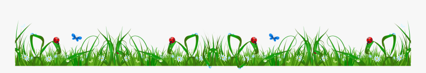Summer Background, HD Png Download