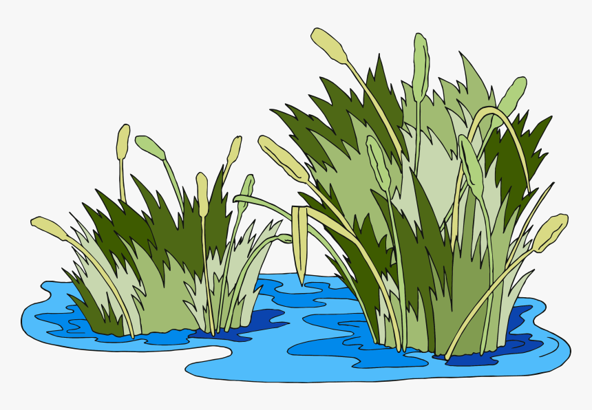 Swamp Vector Marsh Grass - Pantano Png, Transparent Png