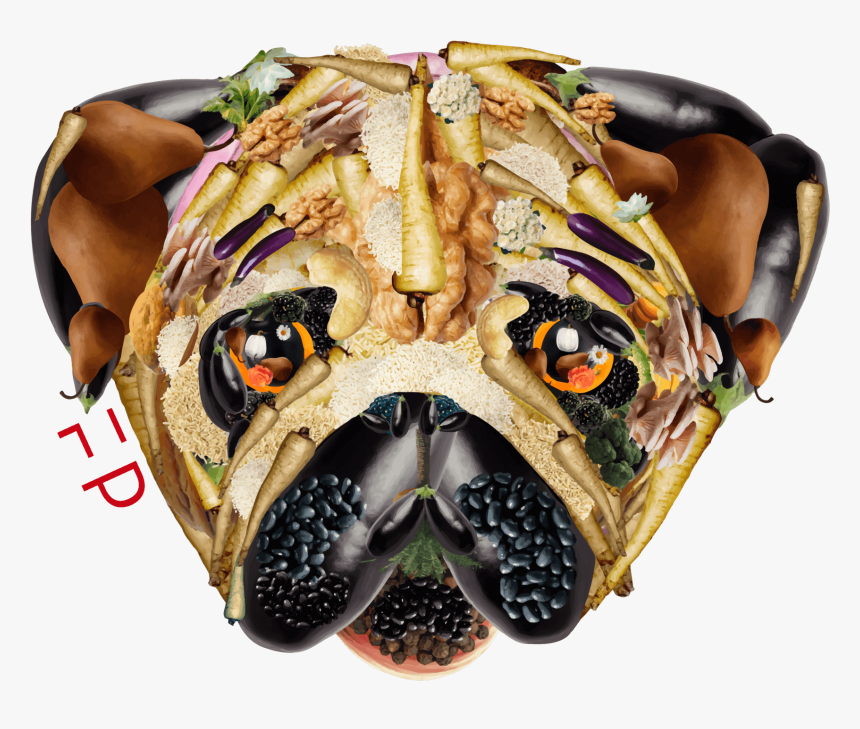 Dog, HD Png Download