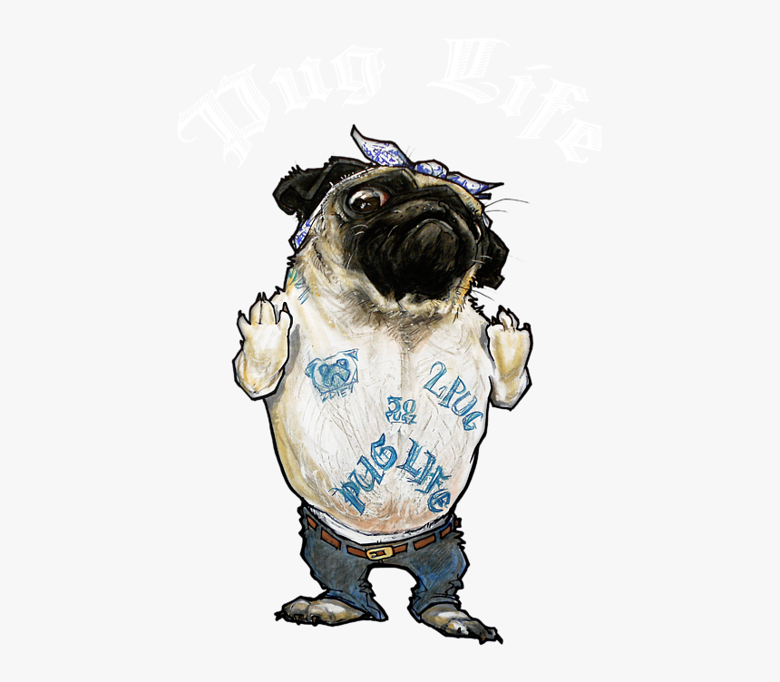 Pug, HD Png Download