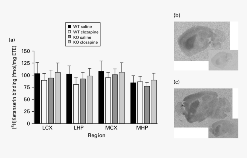 Diagram, HD Png Download