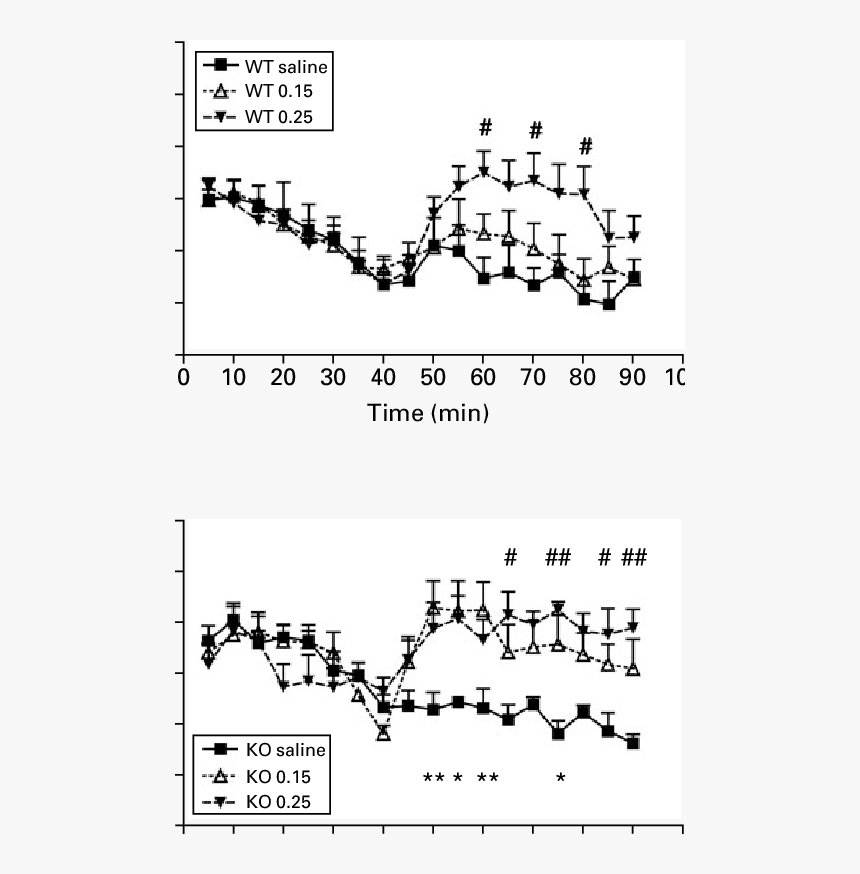 Diagram, HD Png Download