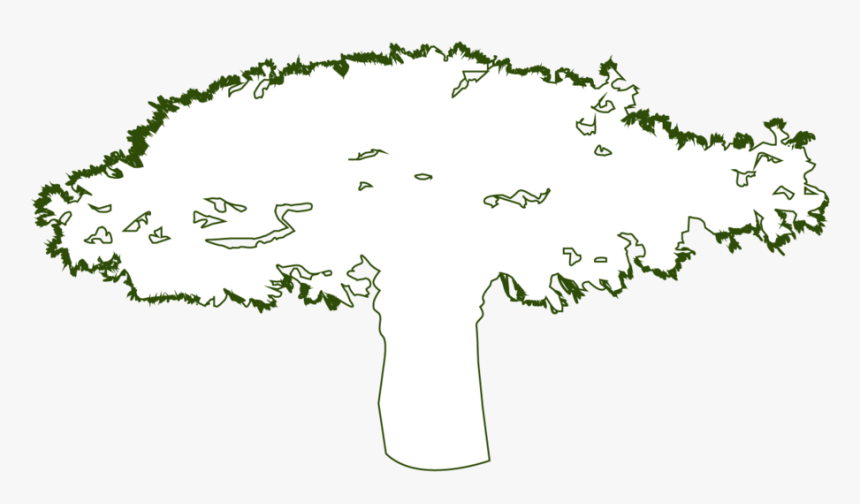 Why Fairwild Plants Outline, HD Png Download
