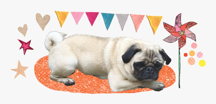 Pug, HD Png Download