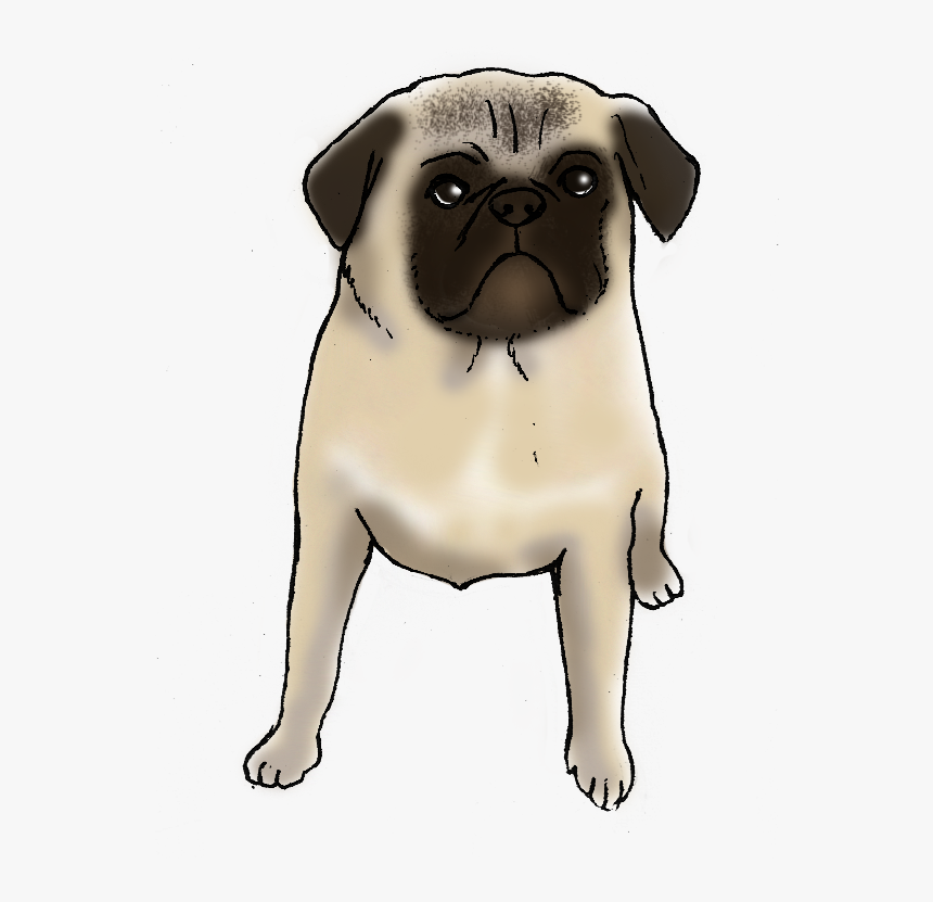 Charlie A Life With - Pug, HD Png Download