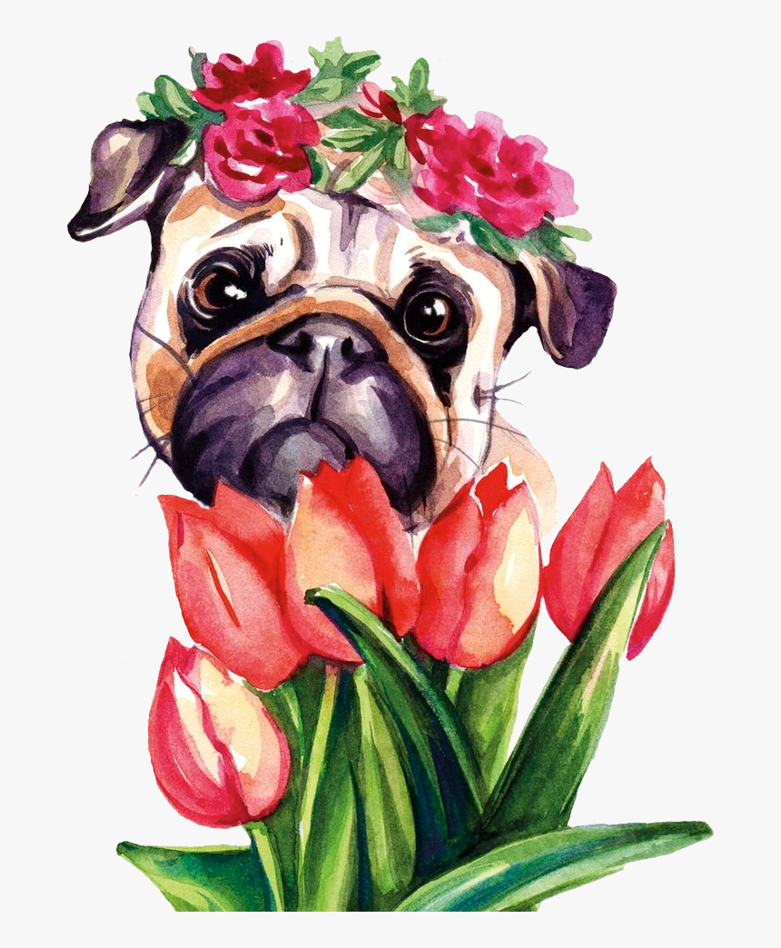 #pug #puglife #floraldog #scpug #stickerchallenge #pug - Pug, HD Png Download
