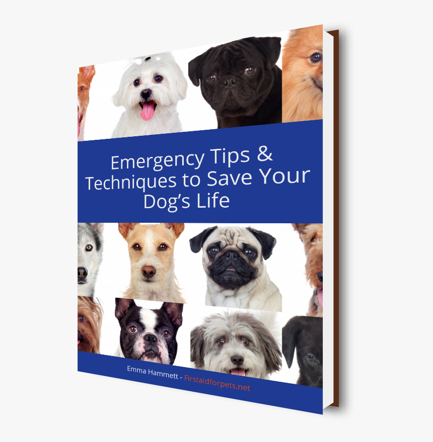 Mange Hunder I Et Bilde, HD Png Download