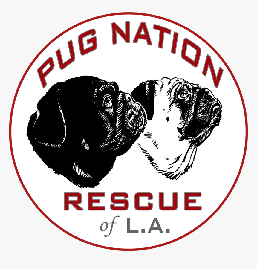 Pug Nation Logo, HD Png Download