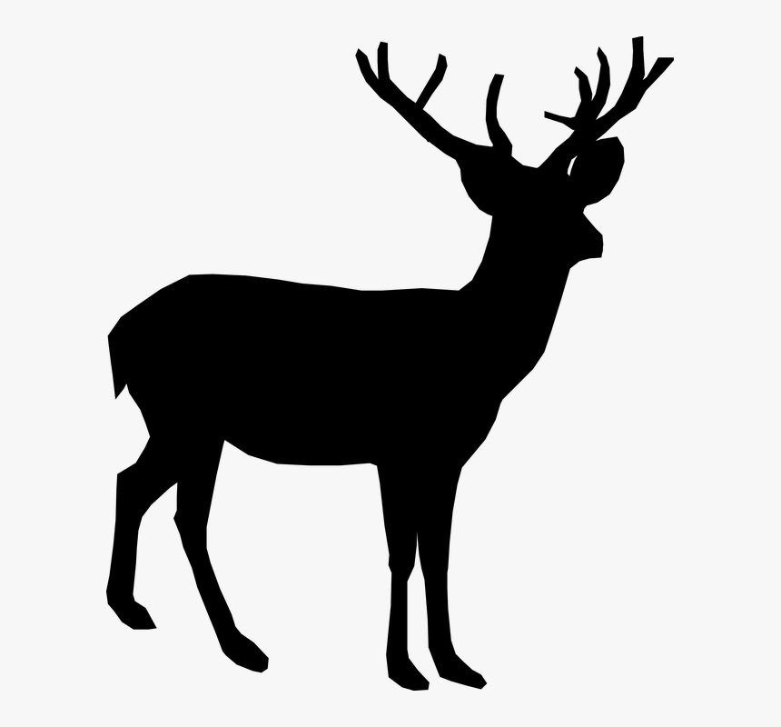 Deer, Animal, Antler, Stand, Silhouette, Black - Transparent Background Deer Silhouette Png, Png Download