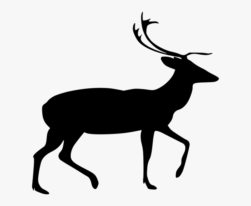 Animal, Deer, Mammal, Silhouette, Stag, Zoo - Deer Silhouette Png, Transparent Png