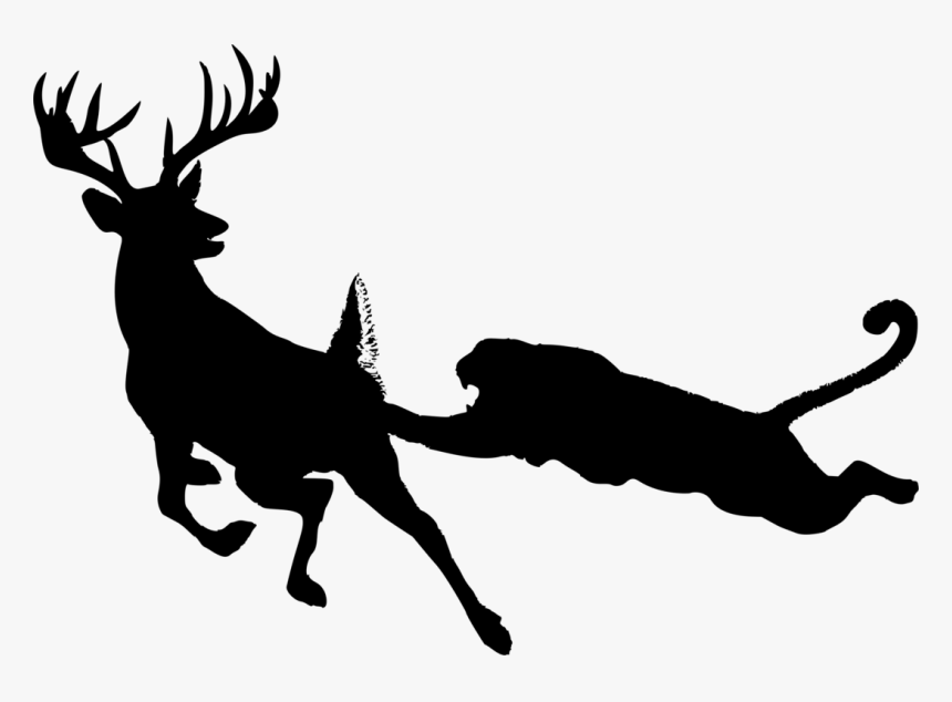 Wildlife,silhouette,deer - Lion On A Mountai Silhouette, HD Png Download