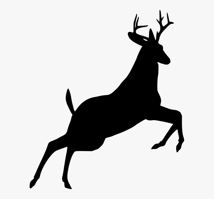 Deer, Jumping, Silhouette, Animal, Leaping, Wildlife - Deer Silhouette, HD Png Download