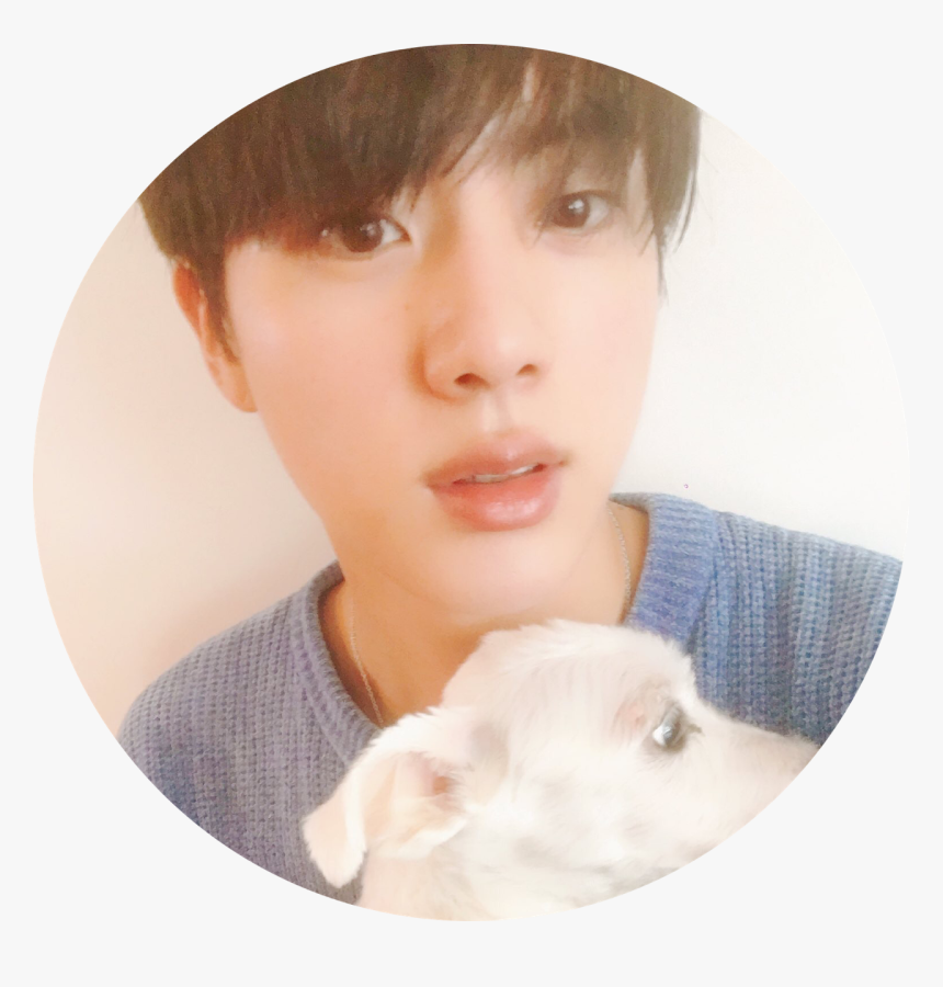 Jin Bts Tumblr - Bts Jin Png, Transparent Png