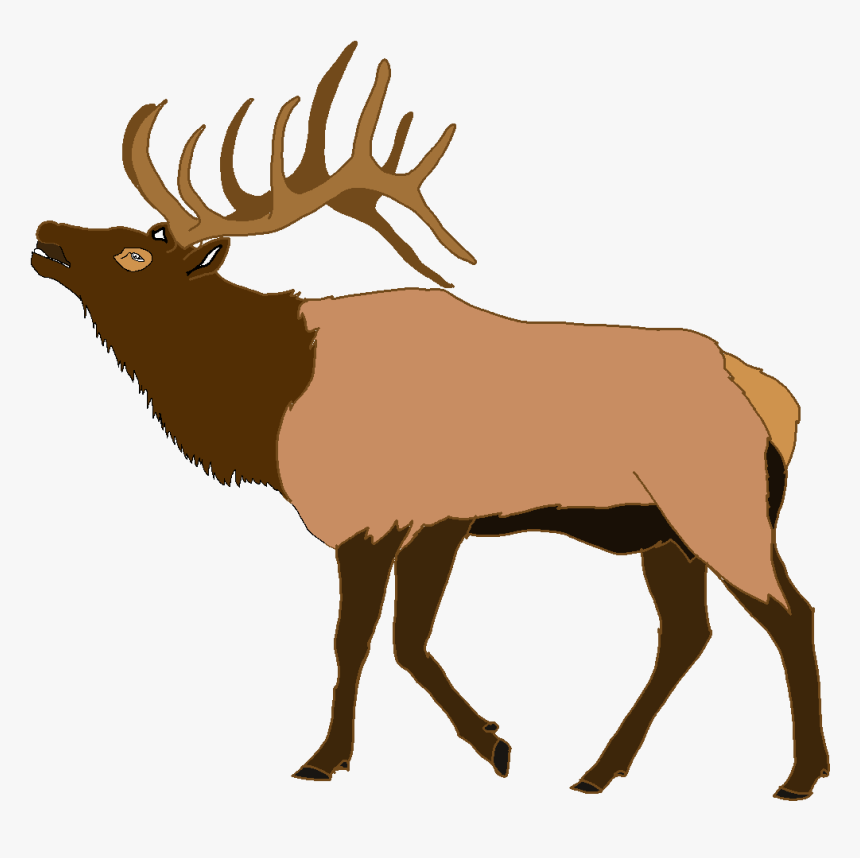 Stag Vector Elk Head - Parallax Correction, HD Png Download