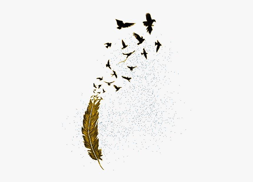 Birds Flying From Feather, HD Png Download