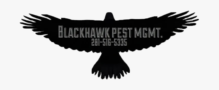 California Condor, HD Png Download