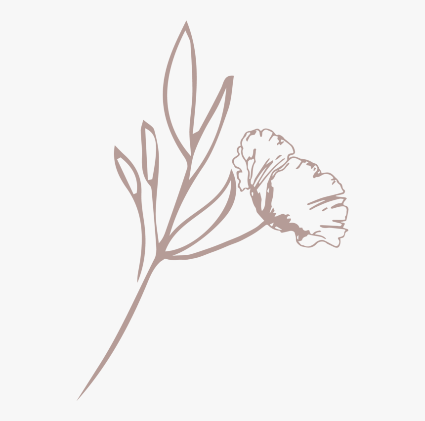 The Fresh Bloom Floral Mark Blush - Illustration, HD Png Download
