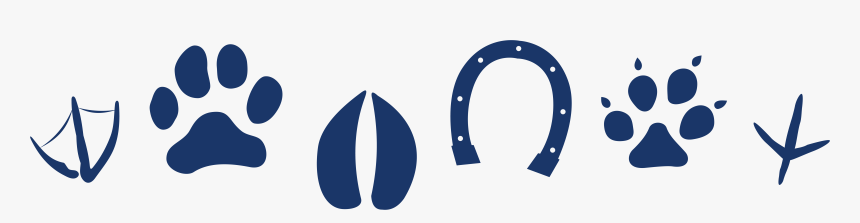 Blue Paw Png, Transparent Png