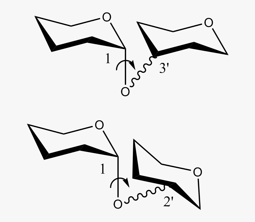 Phi A Thps - Drawing, HD Png Download