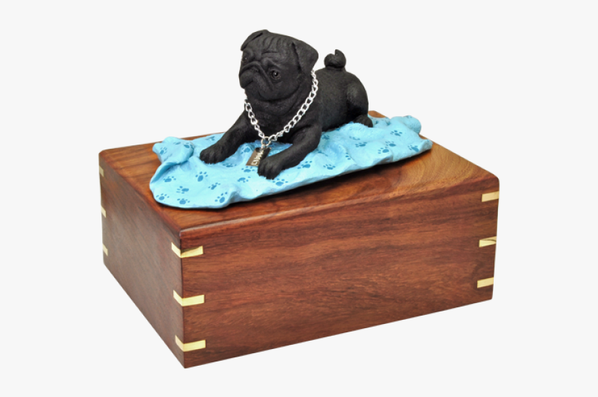 Dog Breed, HD Png Download