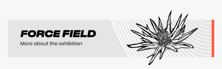 Starakfoundation - Org - Graphic Design, HD Png Download