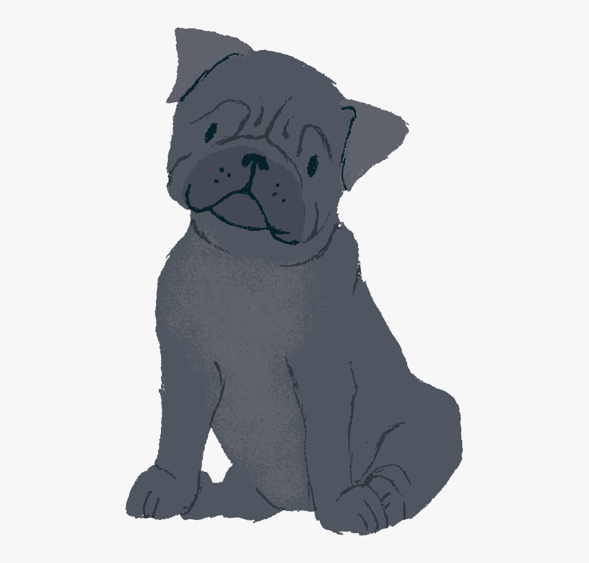 Transparent Pug Clipart - Pug, HD Png Download