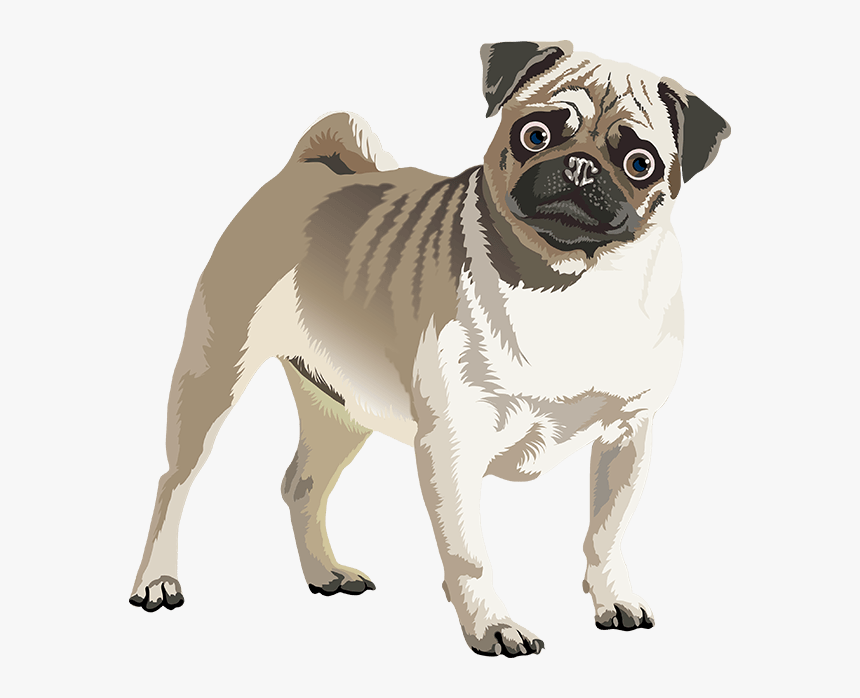 Realistic Dog Art - Pug, HD Png Download