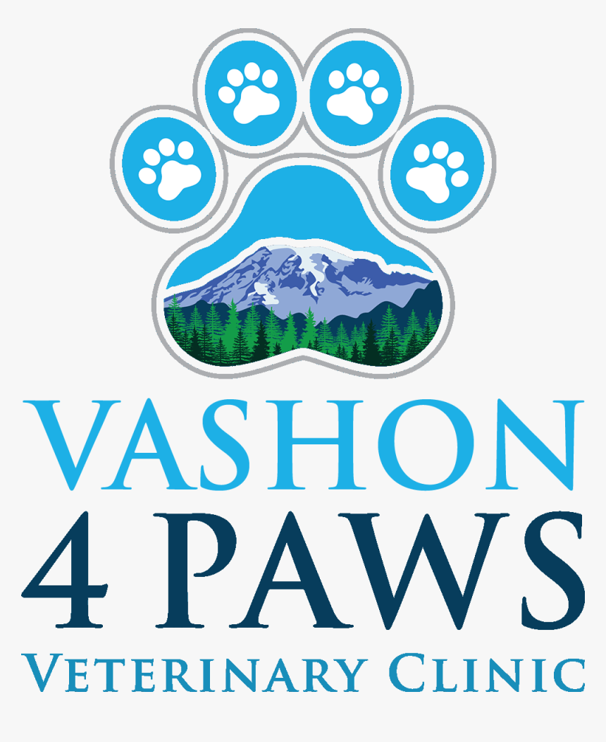 Vashon 4 Paws Veterinary Clinic - Rainbows For Children, HD Png Download