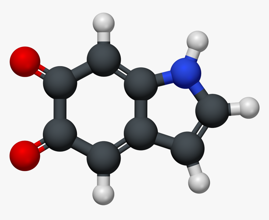 Indol 5,6 Quinona - 1 Butyl 3 Methylimidazolium Hexafluorophosphate, HD Png Download