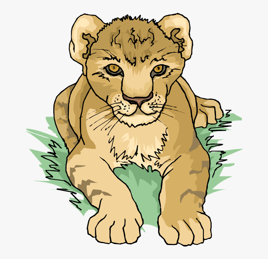 Free Lion Cub - Free Clipart Lion Cub, HD Png Download
