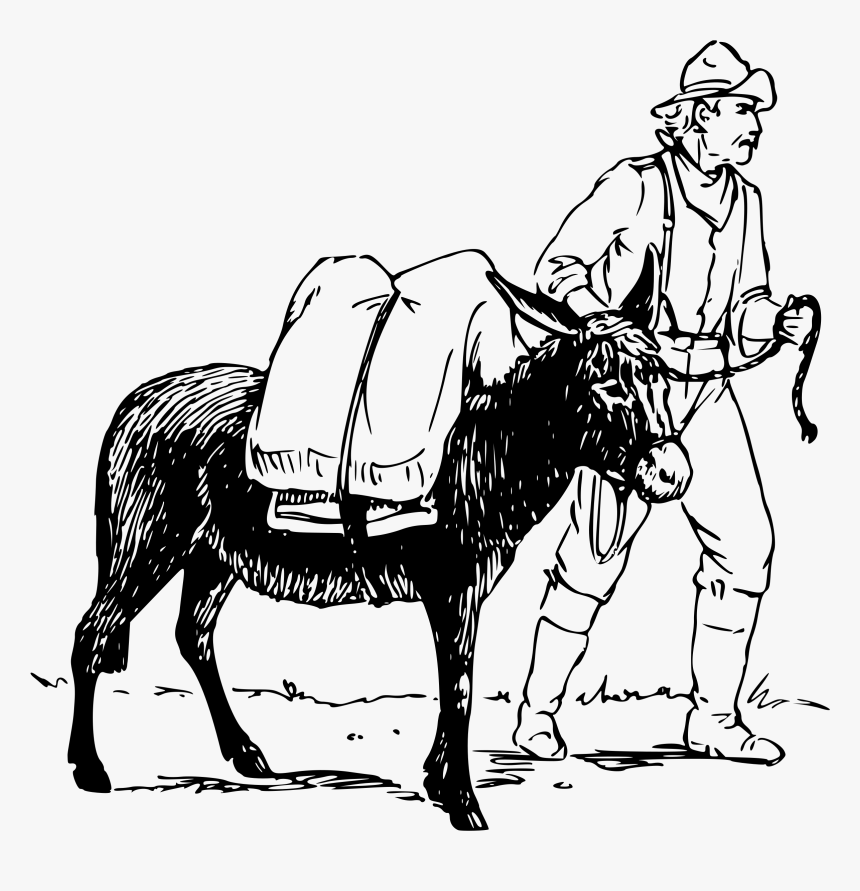 Man And Donkey 2 Clip Arts - Black Man On A Mule, HD Png Download