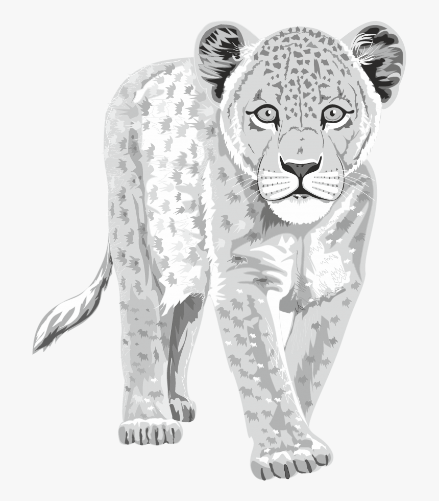 Confidence Is Silent, HD Png Download