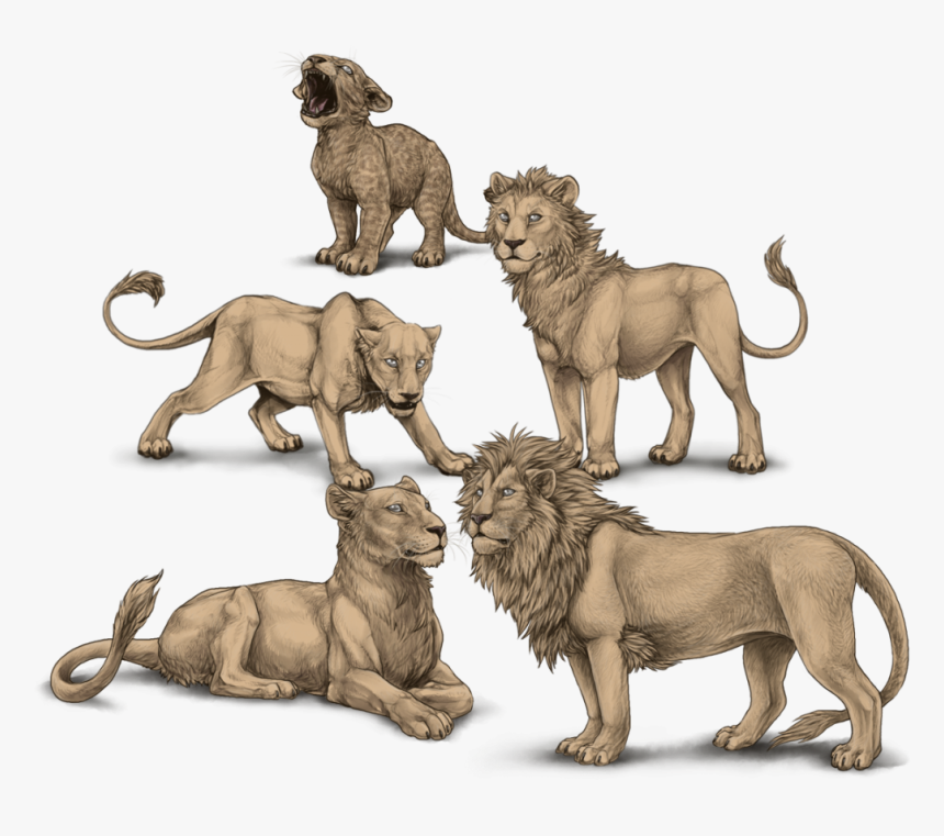 Rawr - Two Heads Lioden, HD Png Download