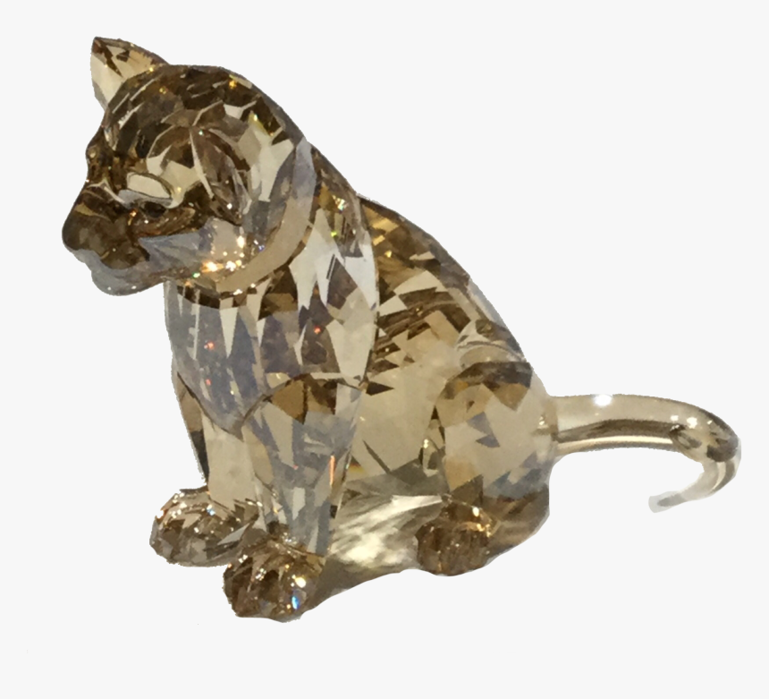 2016 Scs Lion Cub - Boxer, HD Png Download