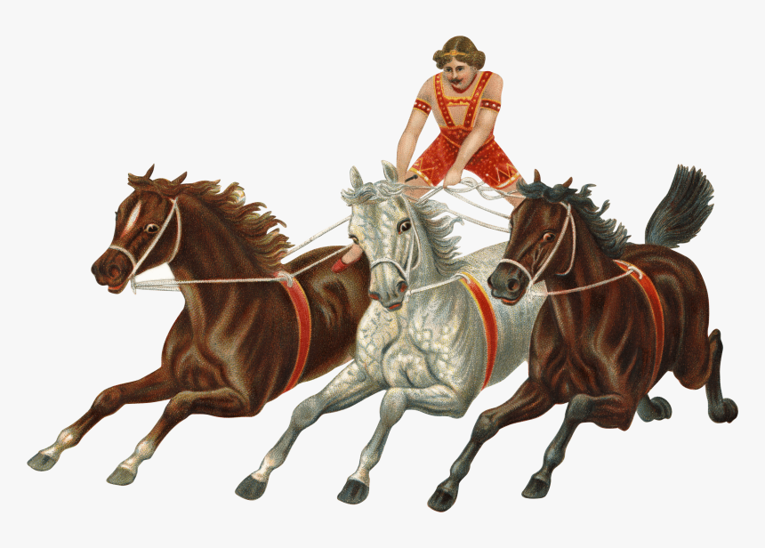 Victorian Vintage Horses Carriage - Hold Your Horses Idiom, HD Png Download