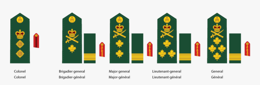 Picture - Illustration, HD Png Download