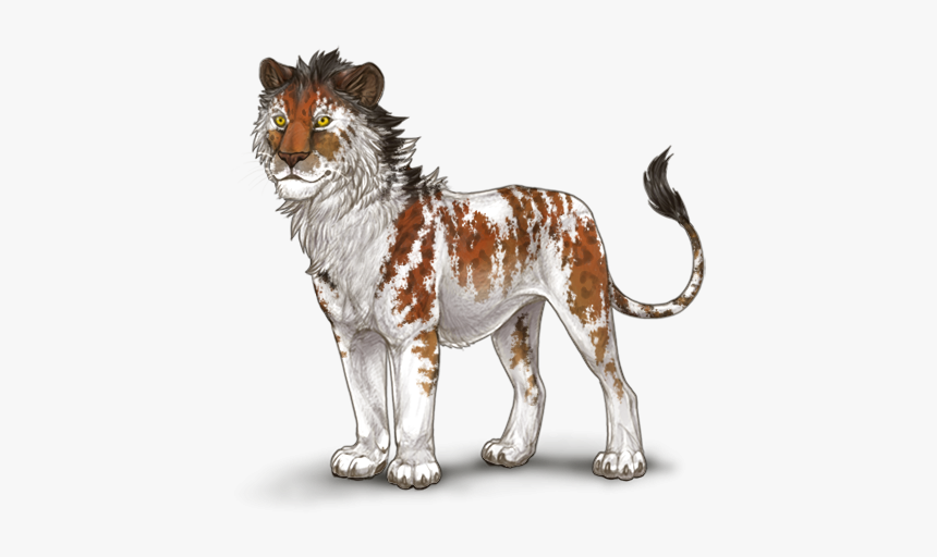 Masai Lion, HD Png Download