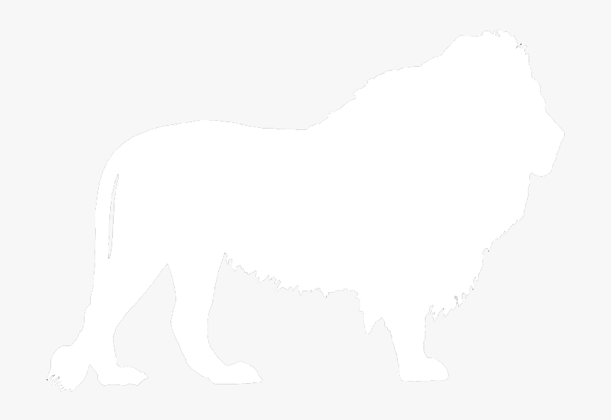 Lion White Outline Transparent, HD Png Download