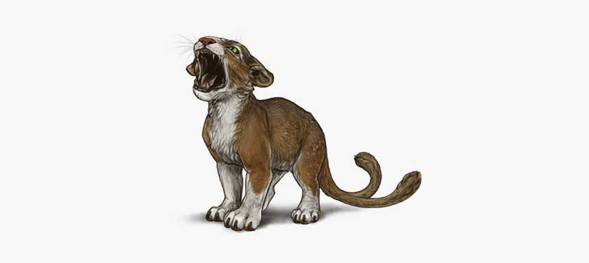 Portable Network Graphics, HD Png Download