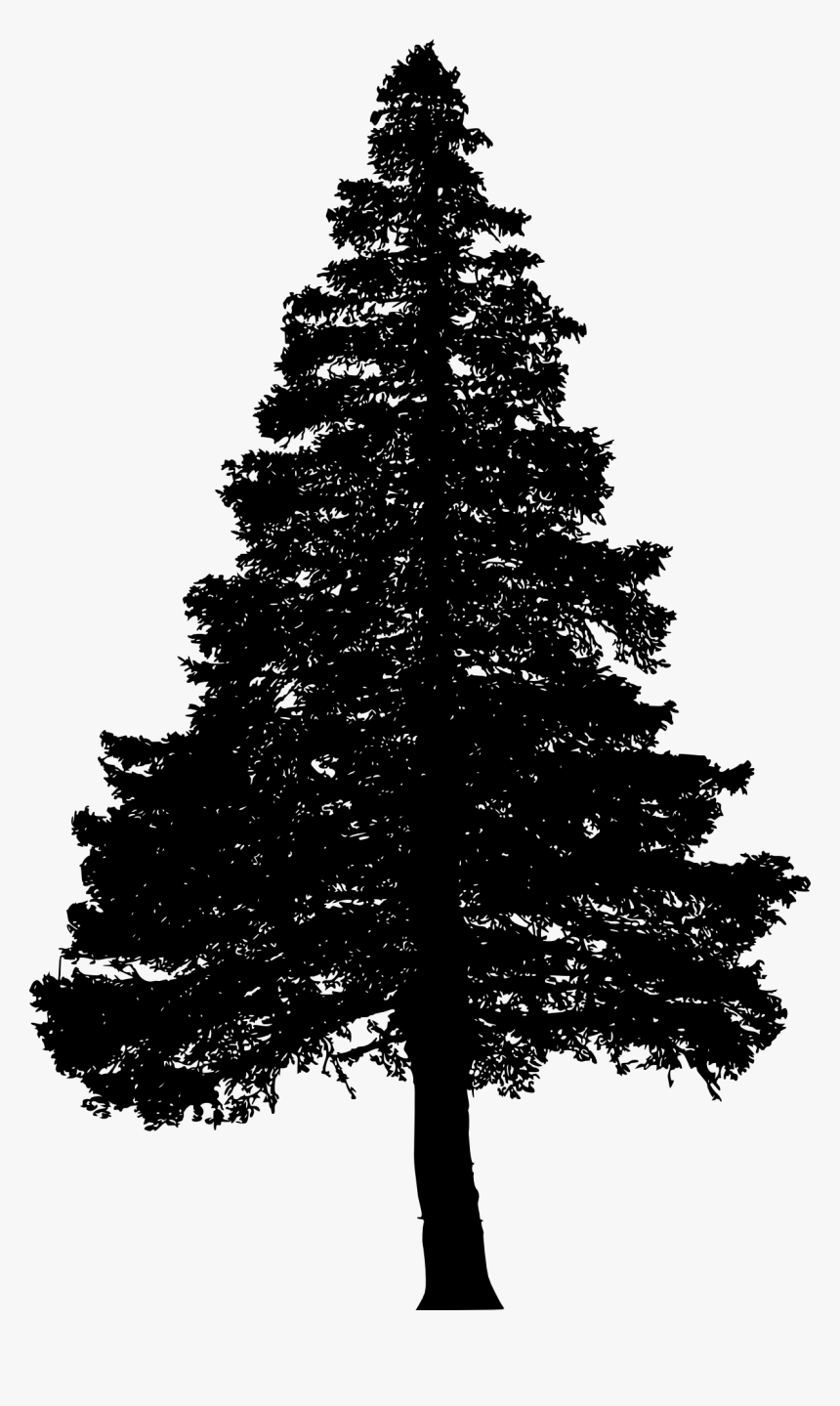 Pine Tree Silhouette Png, Transparent Png