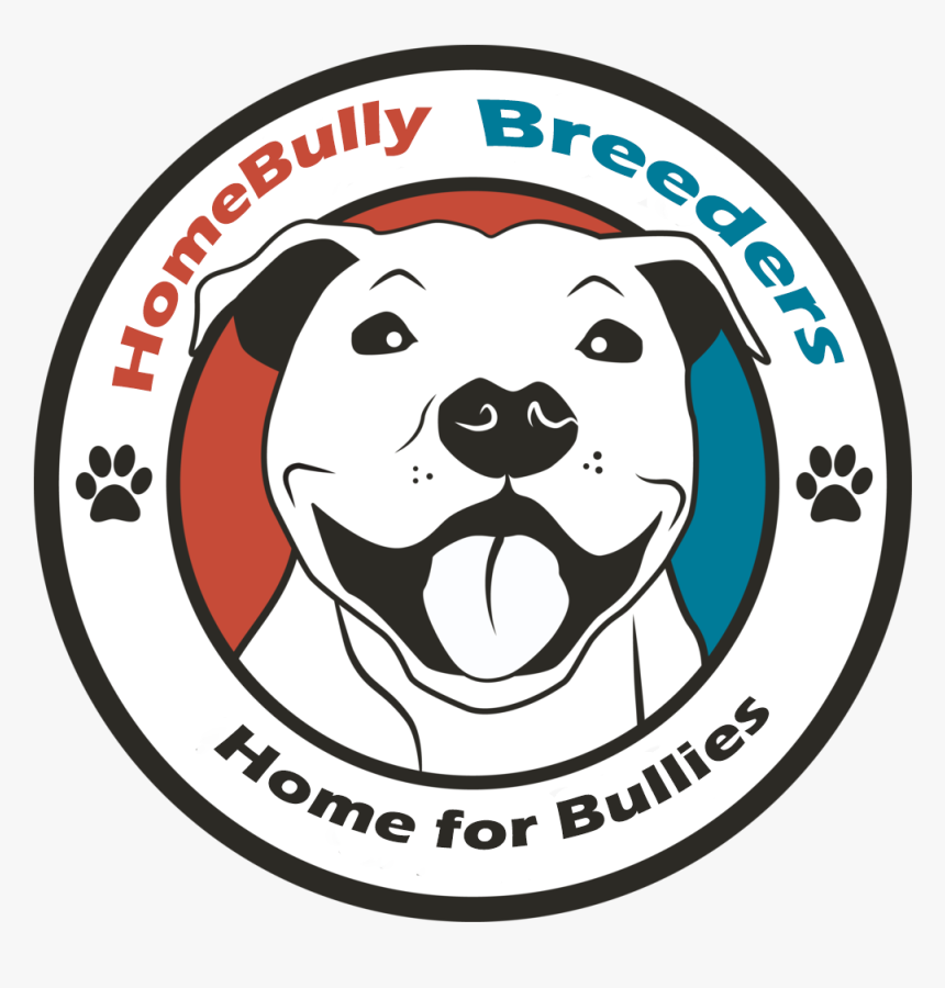 Dog Catches Something, HD Png Download