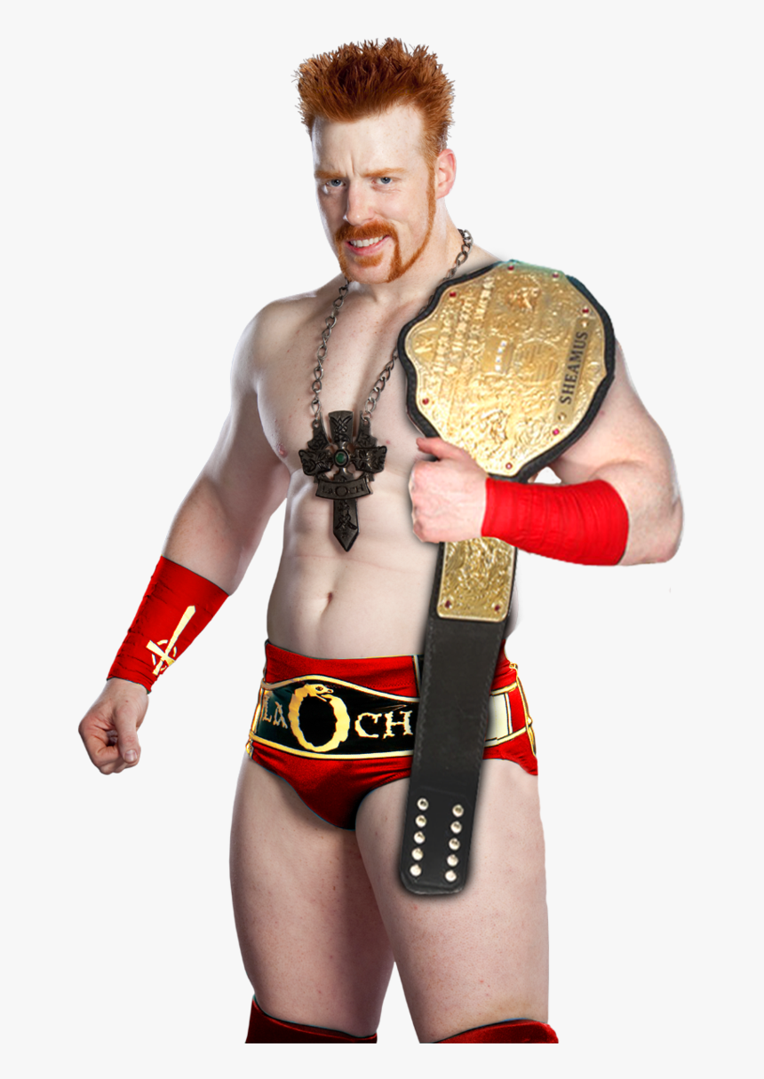 World Heavyweight Championship Sheamus, HD Png Download