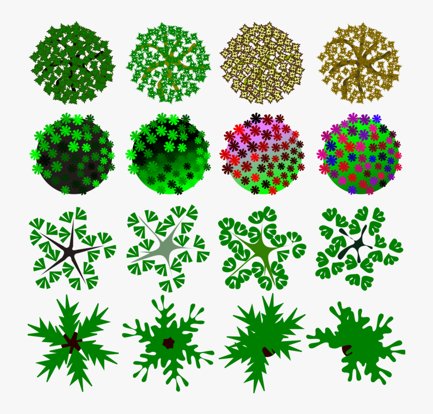 Pine Family,plant,flora - Morphe, HD Png Download