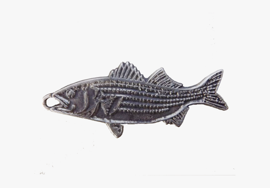 Transparent Striper Png - Striper Bass, Png Download