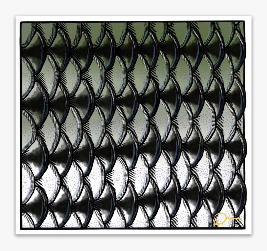 Striperscales - Chain-link Fencing, HD Png Download