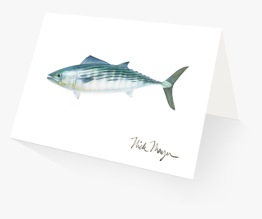 Transparent Dr Seuss Fish Clipart Black And White - Striper Bass, HD Png Download