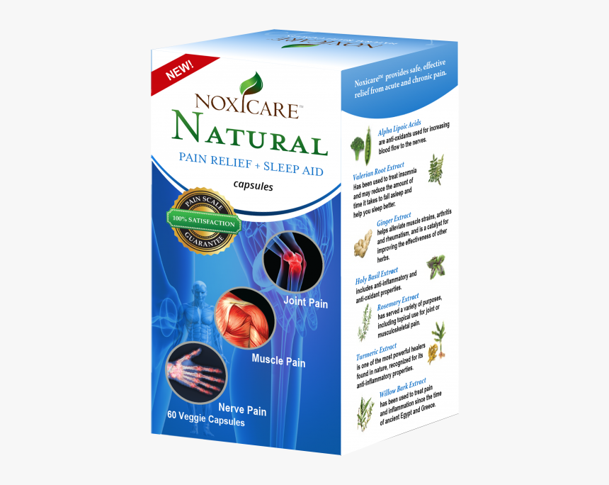 Ligamentos Do Joelho, HD Png Download