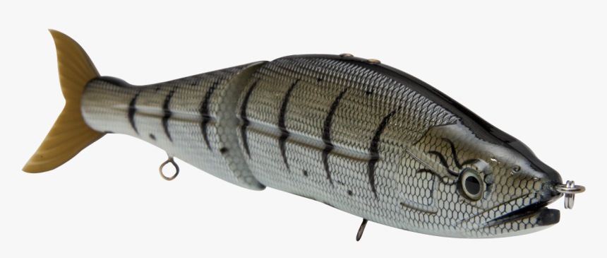 Bass, HD Png Download