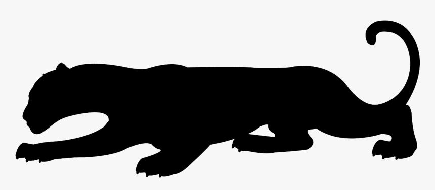 Marine Mammal, HD Png Download