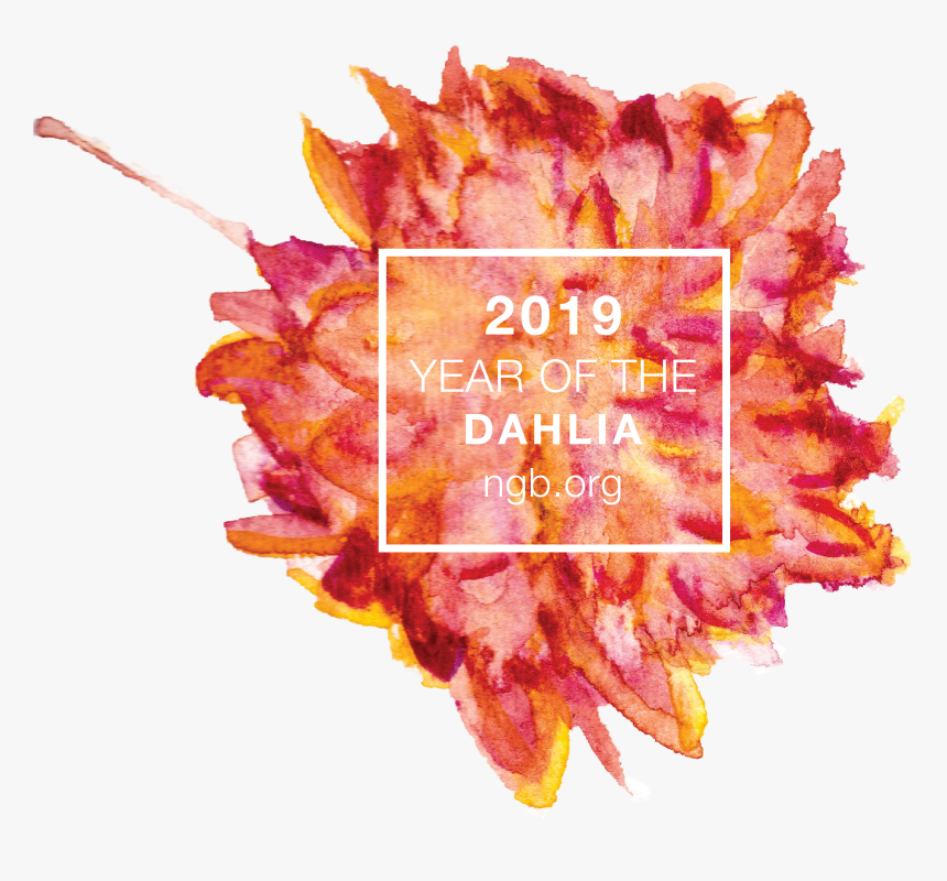 National Garden Bureau 2019, HD Png Download